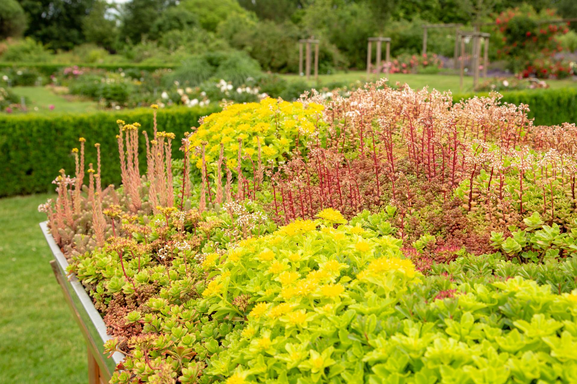 Toitures végétalisées et jardins sur dalles