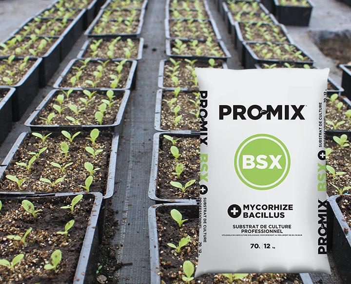 PRO-MIX BSX