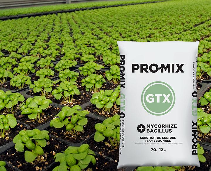 PRO-MIX GTX