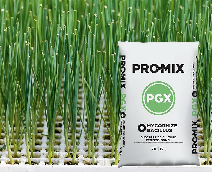 PRO-MIX PGX