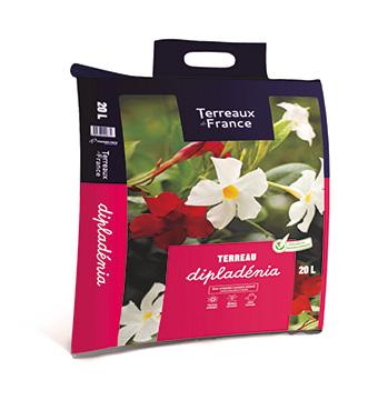 Sac Terreaux de France dipladénia