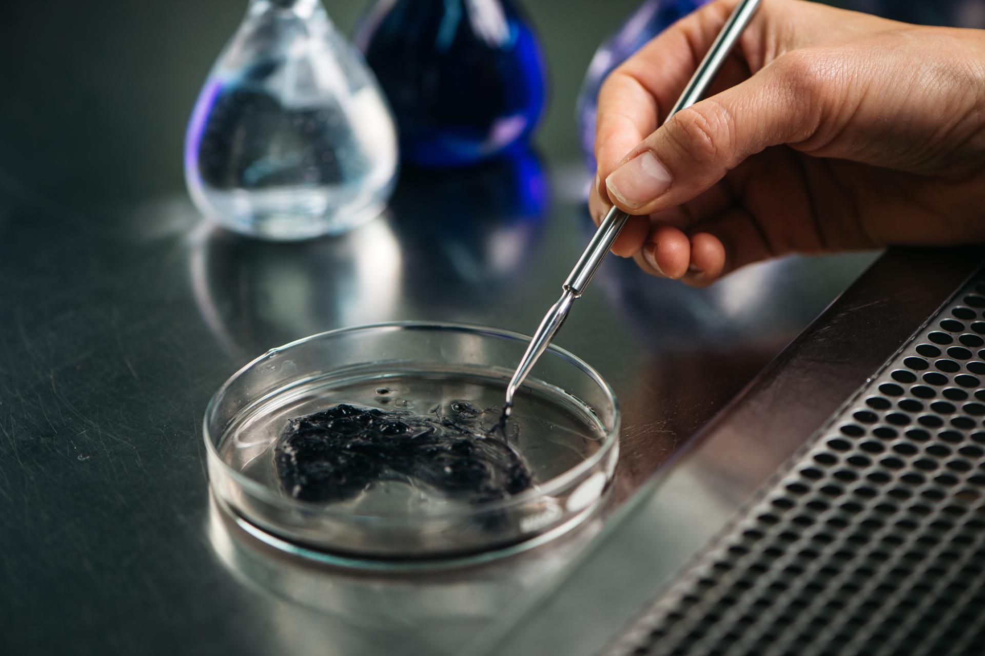 Production biostimulants