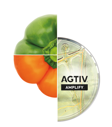 AGTIV AMPLIFY