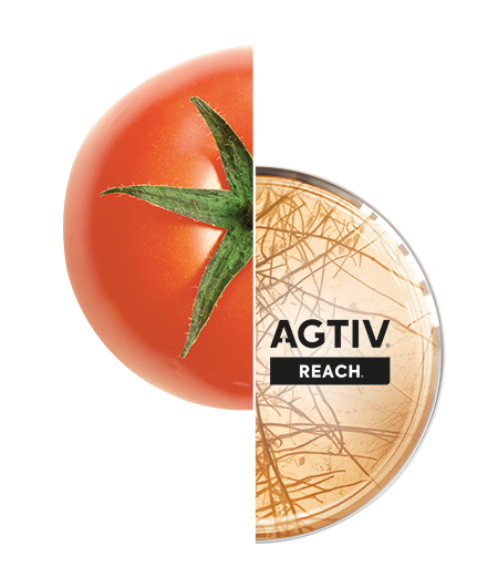 AGTIV REACH