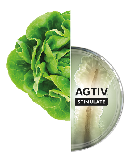 AGTIV STIMULATE